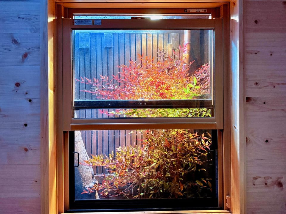 Bathroom, Garden view