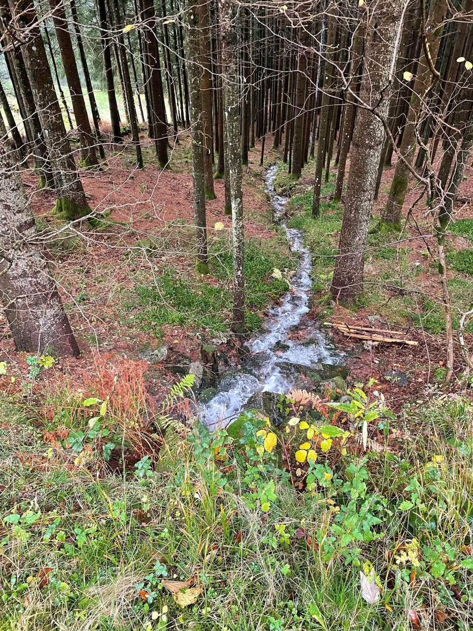 Natural landscape