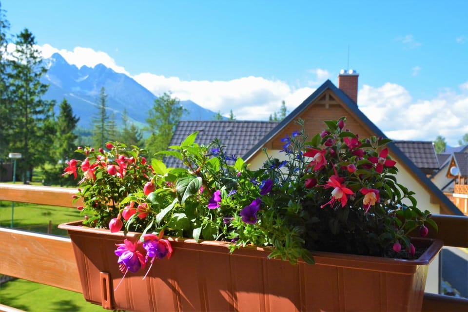 Balcony/Terrace, Mountain view