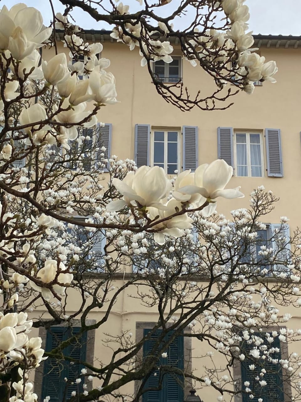 Spring
