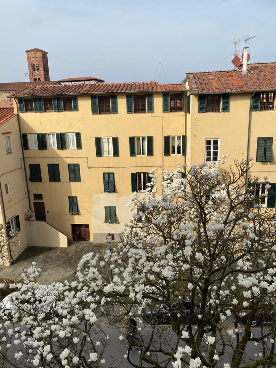 Maison Deco - Timeless elegance Apartment in Capannori