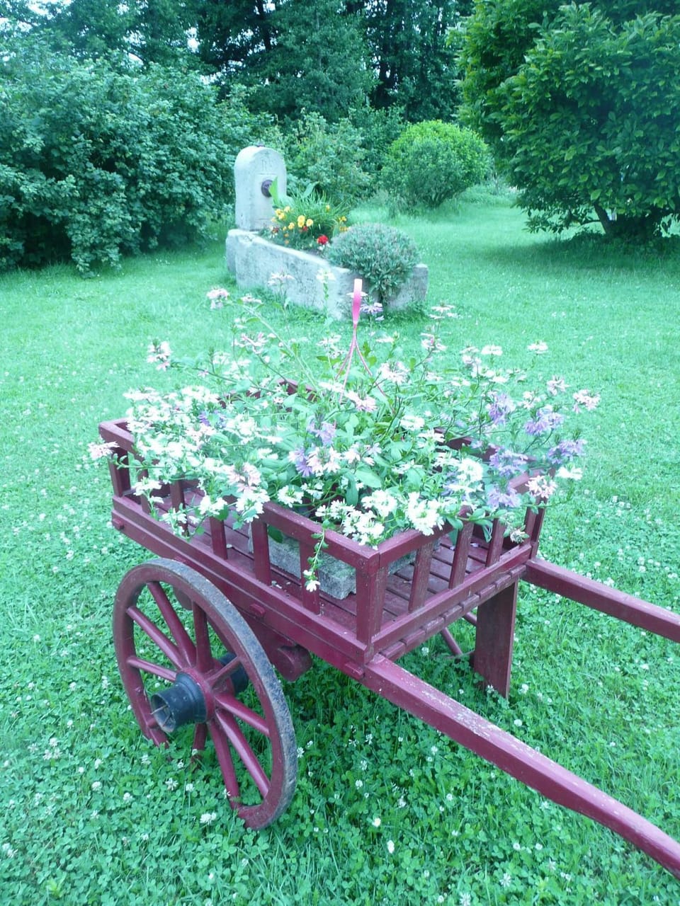 Natural landscape, Garden