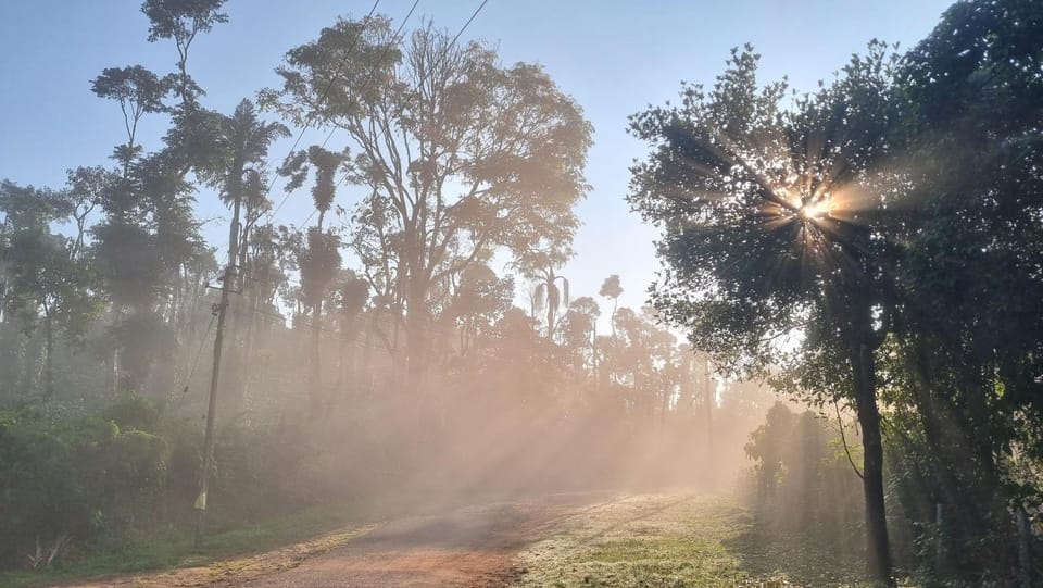 Spring, Day, Natural landscape, Sunrise