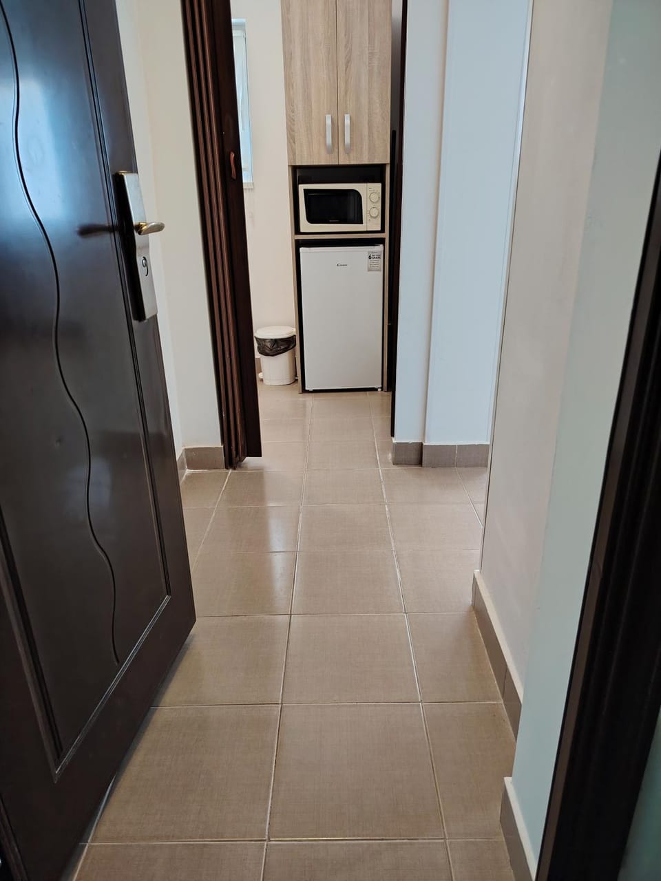 Studio Central Apartment in Timiș County