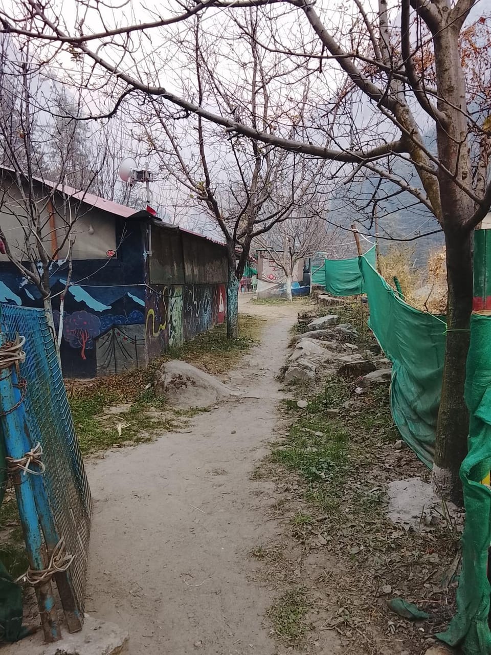 Apple garden cafe and stay Bed and Breakfast in Himachal Pradesh
