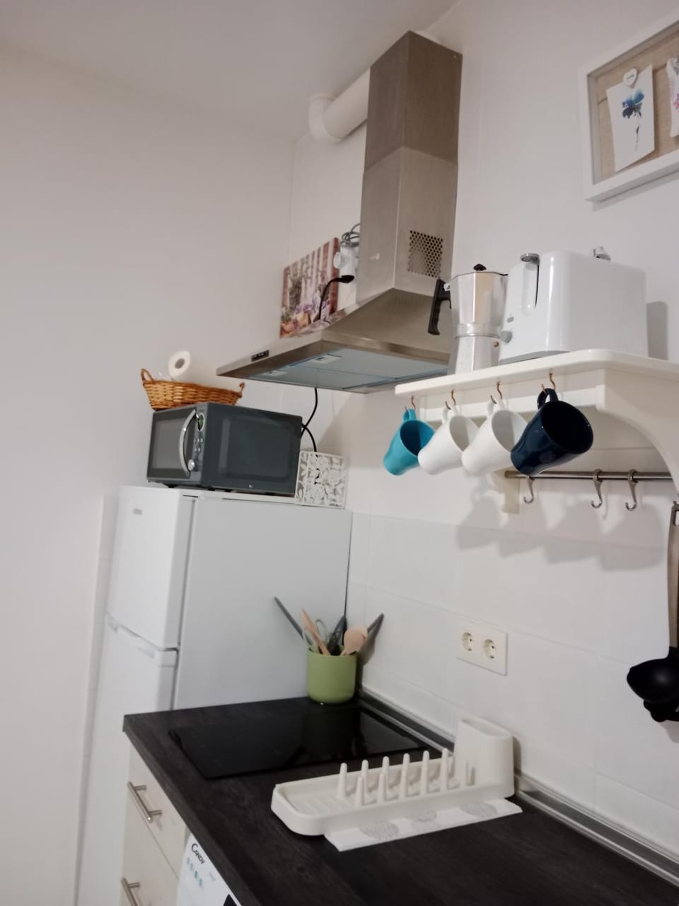 Coffee/tea facilities, Kitchen or kitchenette, pet friendly, stove