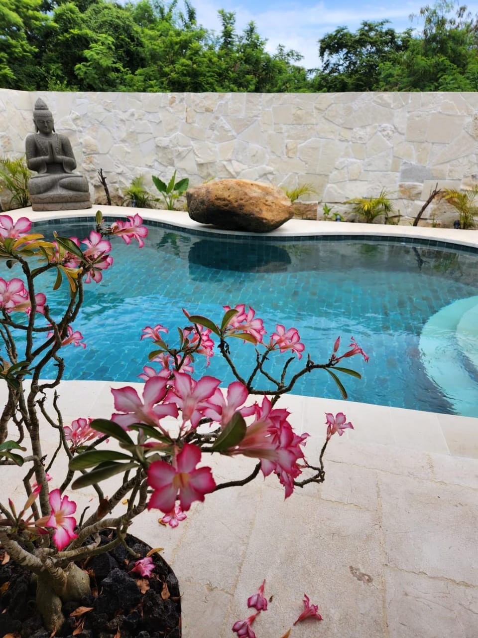 Day, Natural landscape, Garden, Garden view, Pool view, Swimming pool