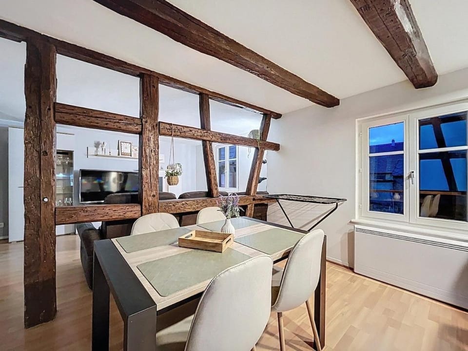 Cocon au cœur des vignes et de la vieille ville Apartment in Grand Est