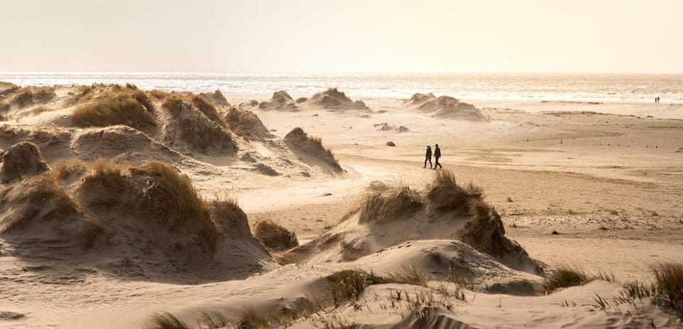 Steps to Hornbæk Beach Walk to Town & Harbour House in Zealand