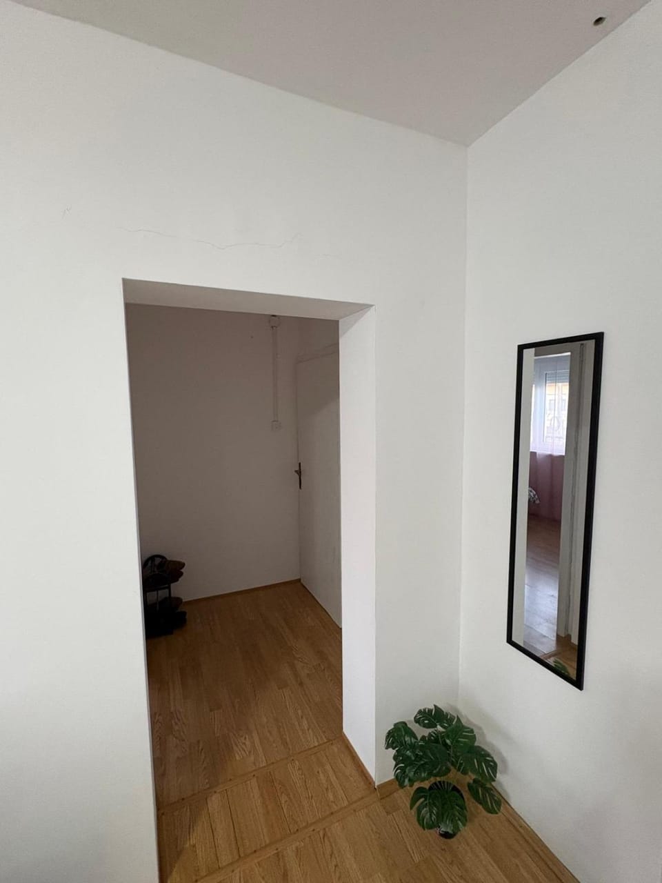 Apartman Tijana Apartment in Vojvodina