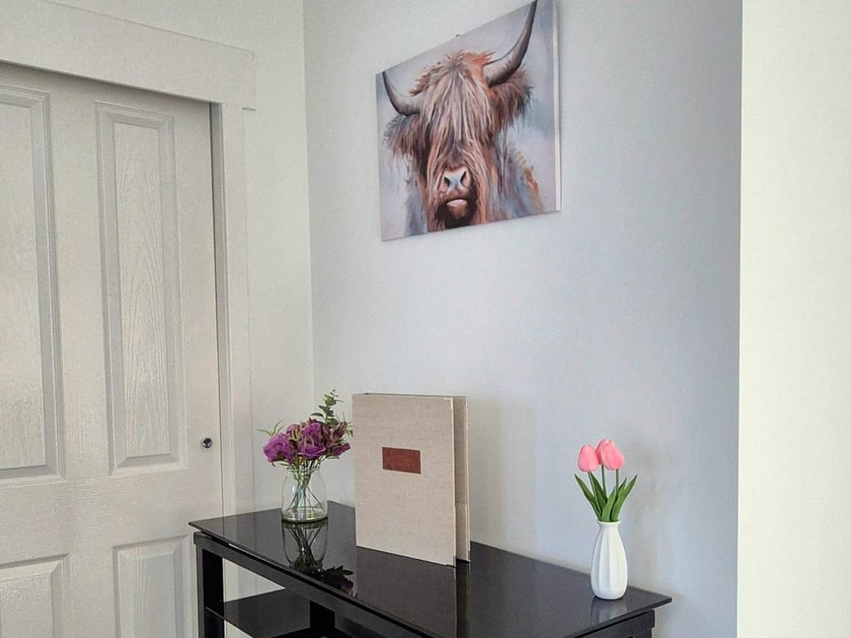 Stirling apartment - free parking Apartment in Stirling