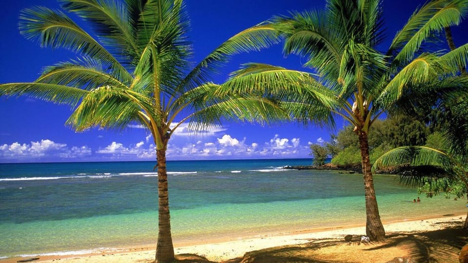 Natural landscape, Summer, Beach