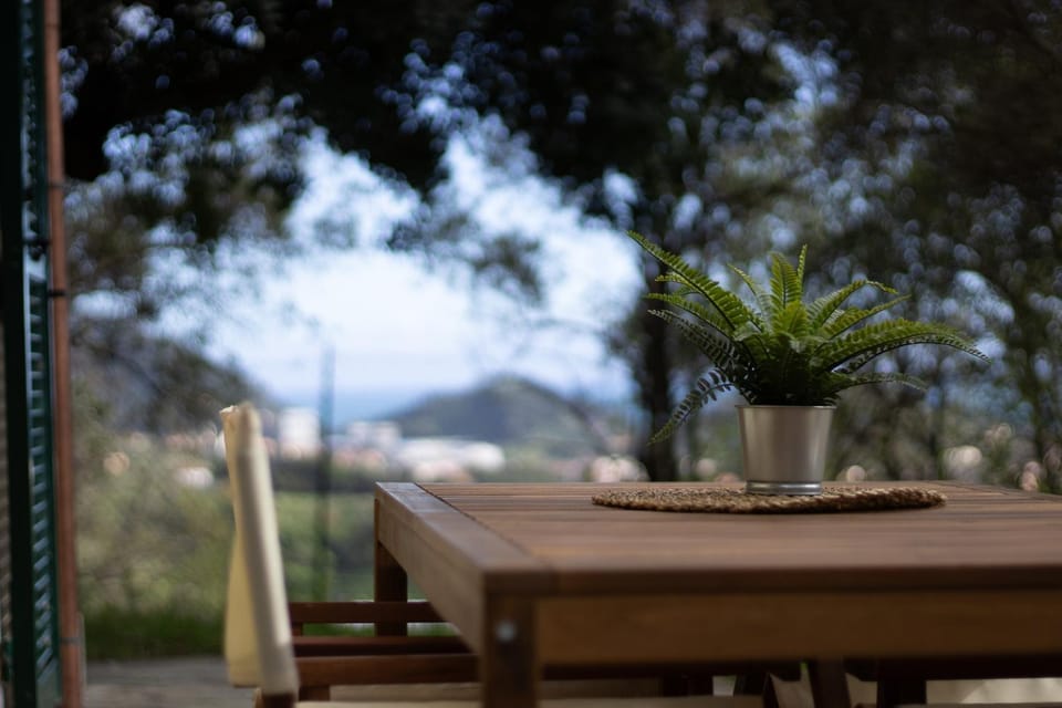 Garden, View (from property/room), Dining area