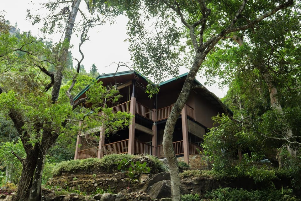 Property building, Garden view