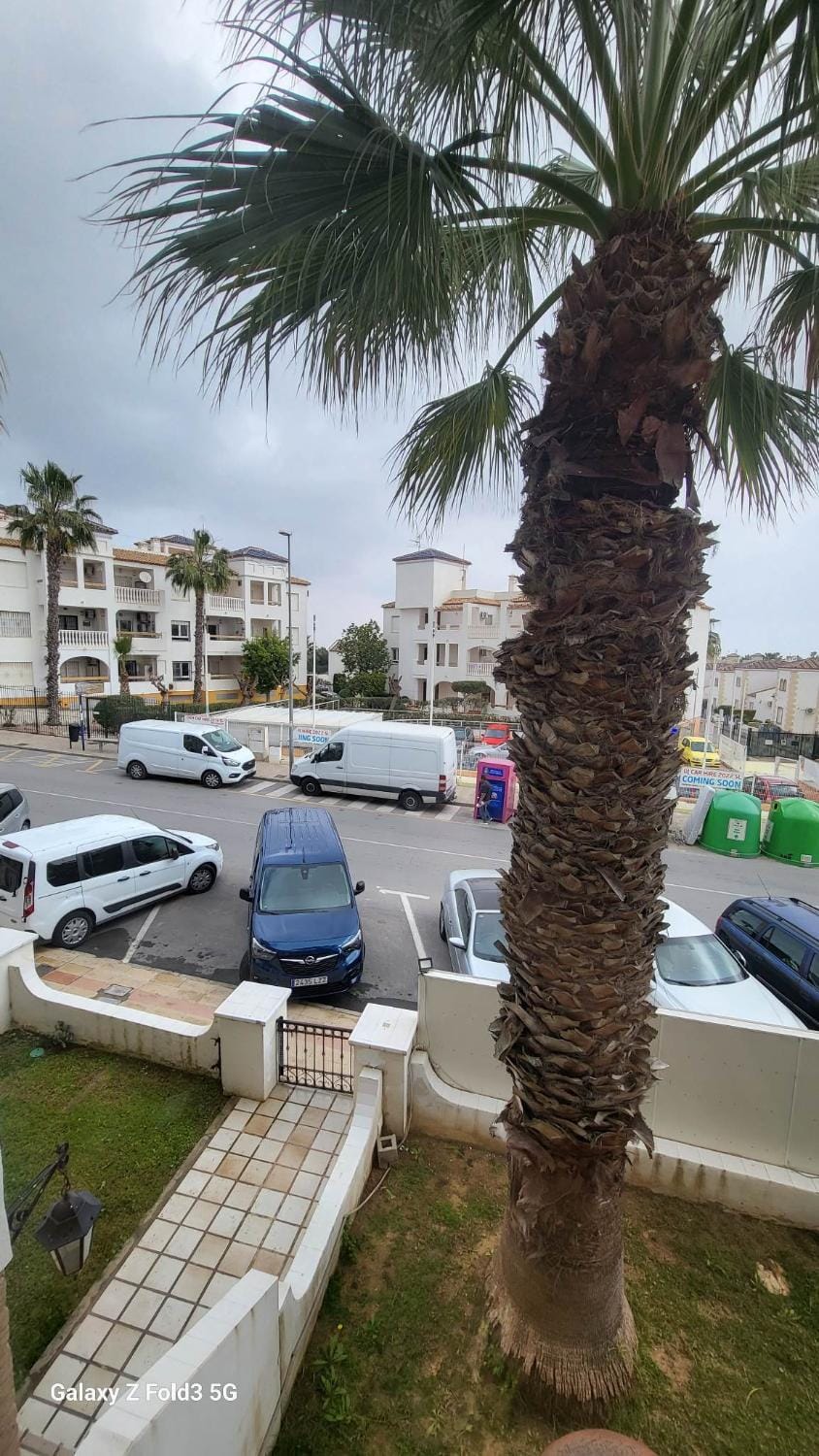 Cuti apartment Apartment in Vega Baja del Segura