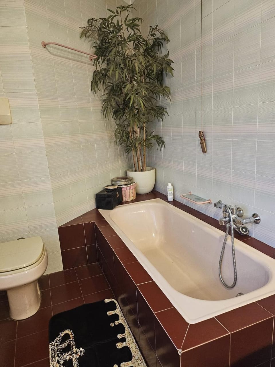 Toilet, Bathroom, Bath