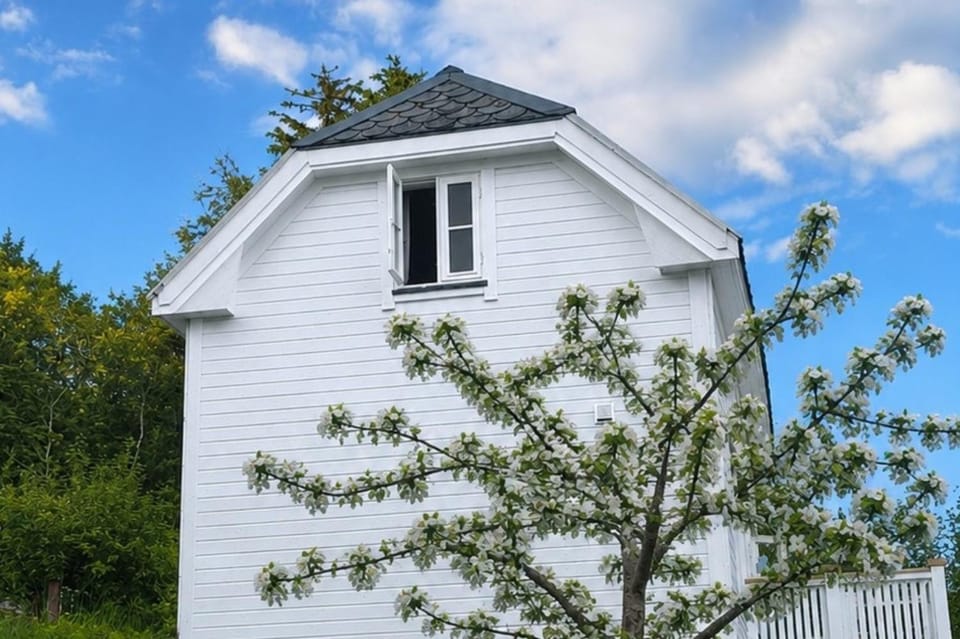 Property building, Spring, Day