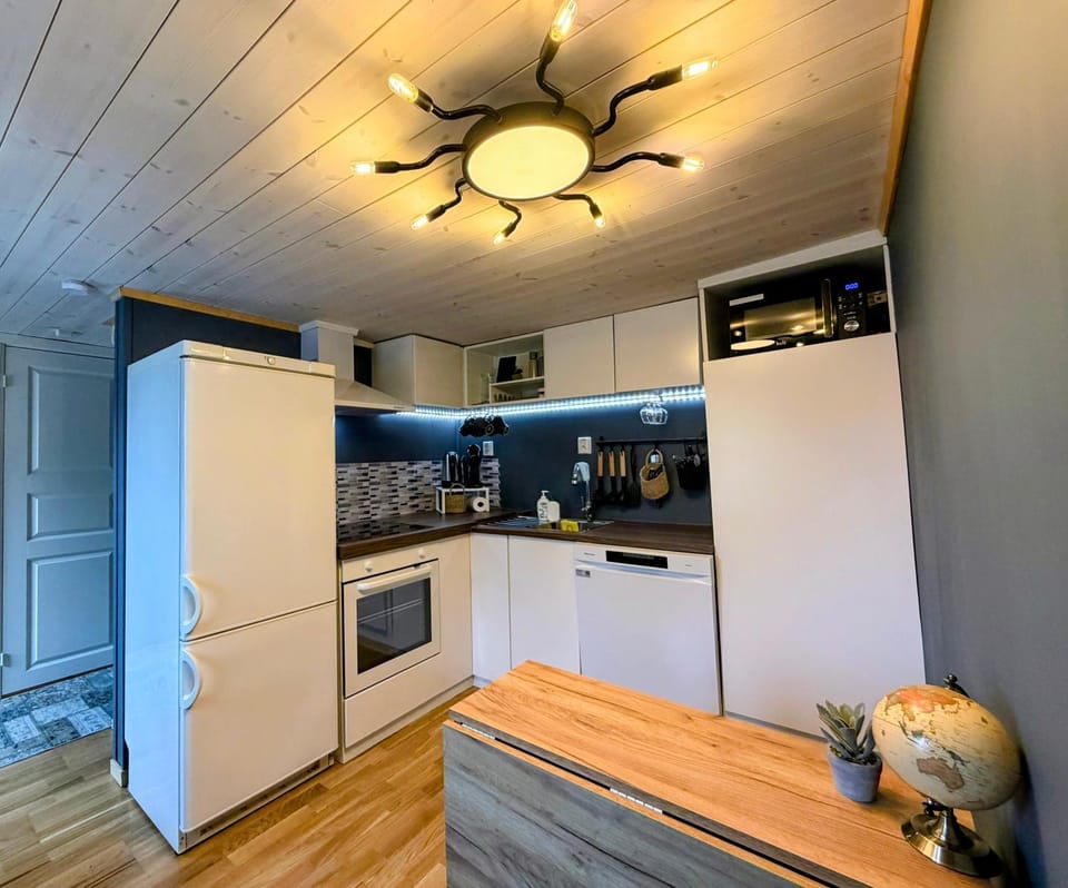 Kitchen or kitchenette, dishwasher, oven, stove