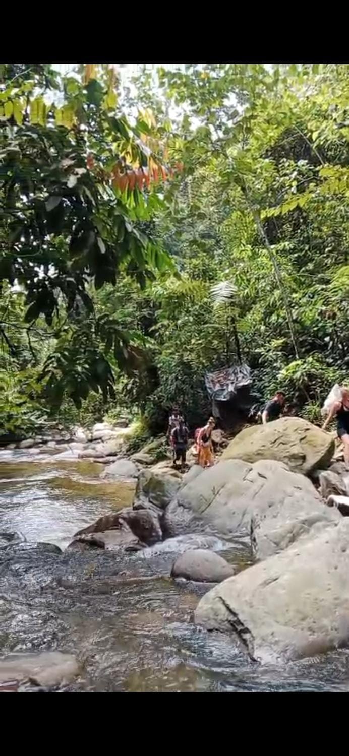 Cheap Sumatra Trekking 2 day 1 night,include car & room Bed and Breakfast in Indonesia