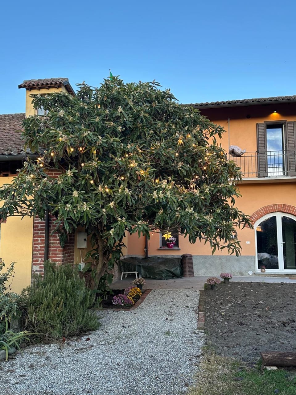 Property building, Garden