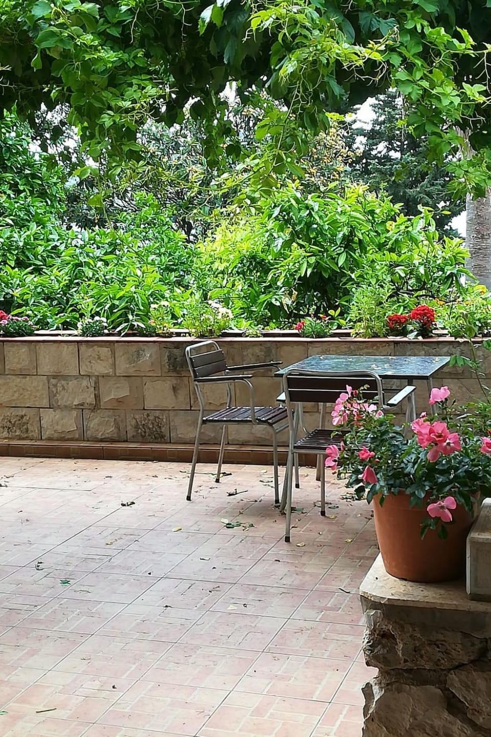 Balcony/Terrace