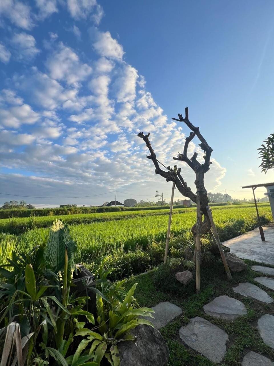 Aryana Villa Ubud Villa in Abiansemal