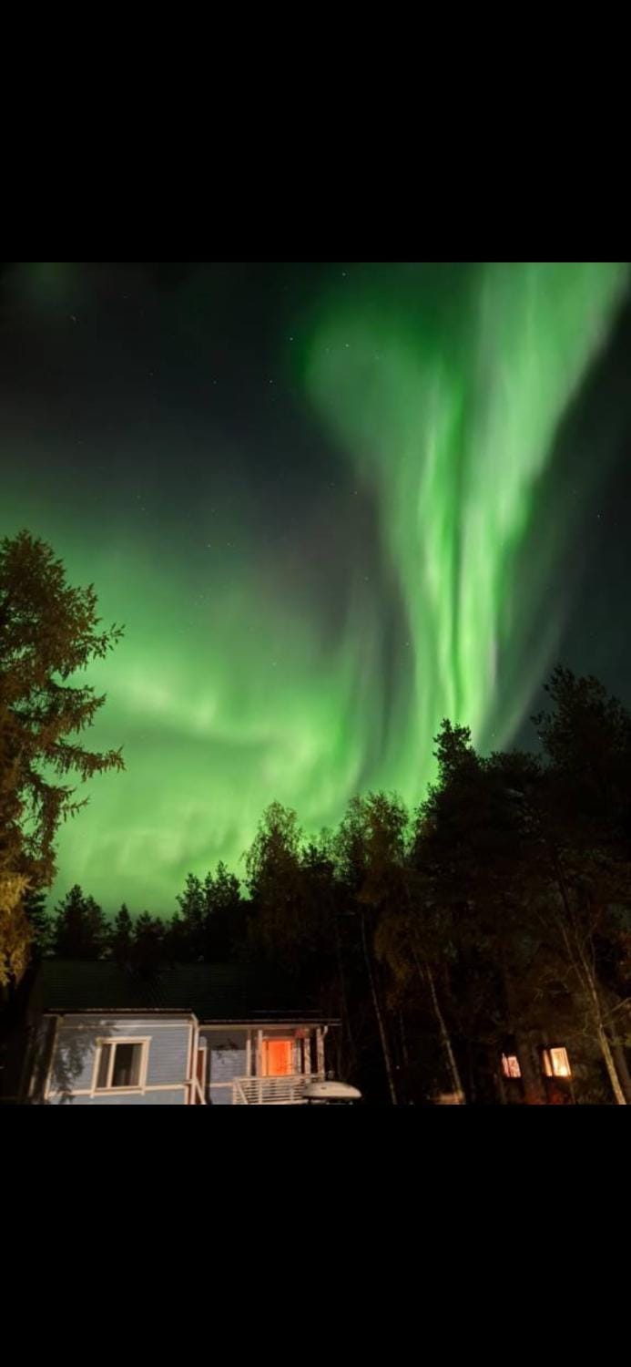 Traditional Finnish Lapland house at wild forest backyard! House in Kemi