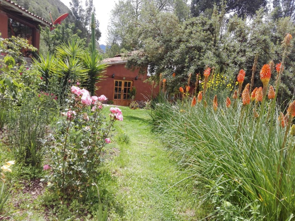EColodge Ccatan Bed and Breakfast in Department of Cusco