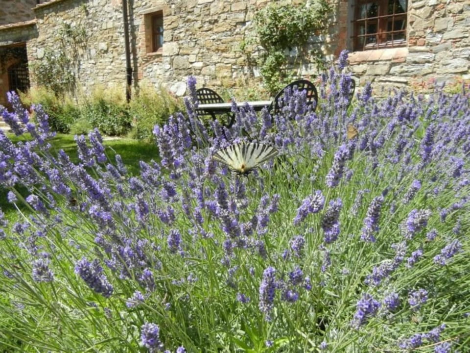 Apartment Apartment Lavanda 1 mit Veranda by Interhome Apartment in Castellina in Chianti