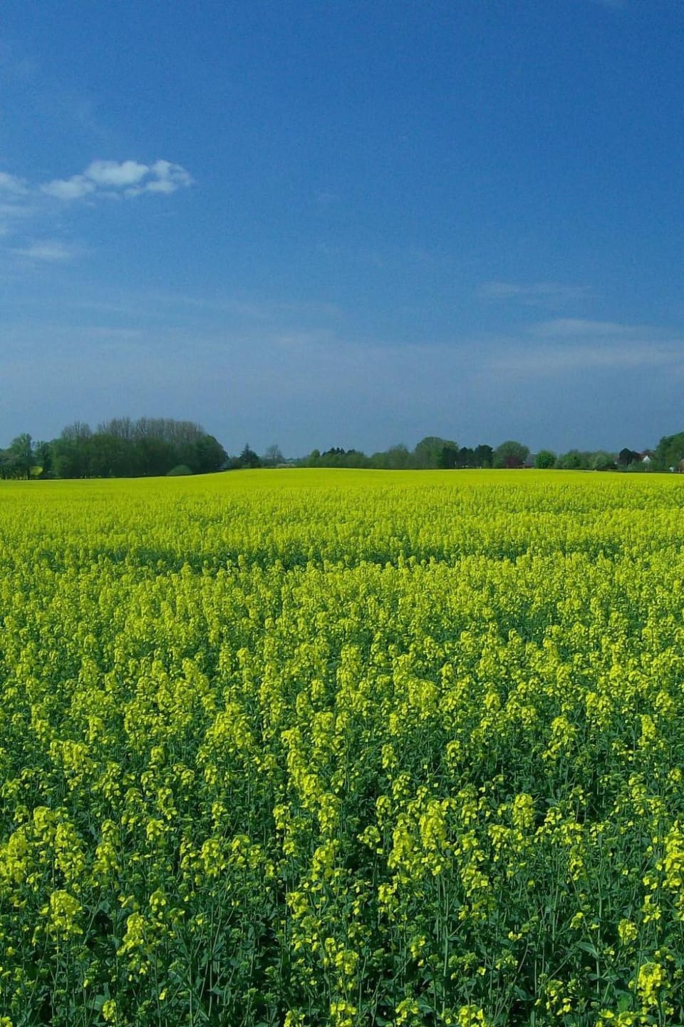 Apartment Wohnung in beliebtem Gästehaus mit Fahrradverleih by Interhome Apartment in Schleswig-Holstein