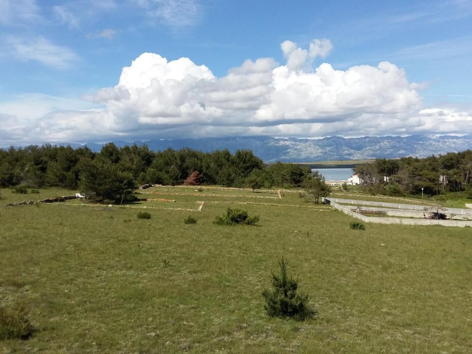 Apartment Ema erste Etage mit offener Terrasse by Interhome Apartment in Zadar County