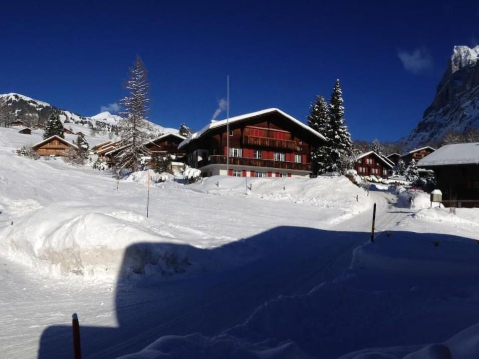 Apartment Chalet Mislin- Grindelwald direkte Bergsicht by Interhome Apartment in Grindelwald