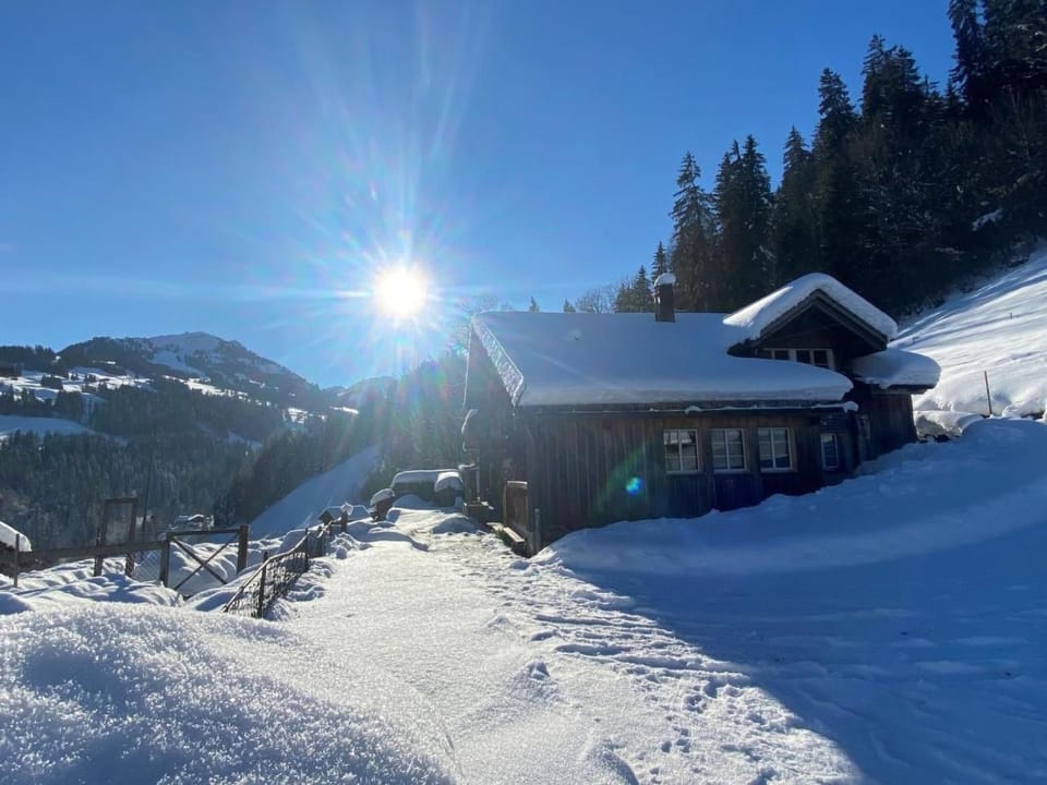 Holiday Home Schönenmatte by Interhome House in Saanen