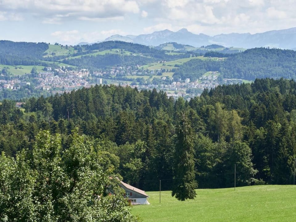 View (from property/room)