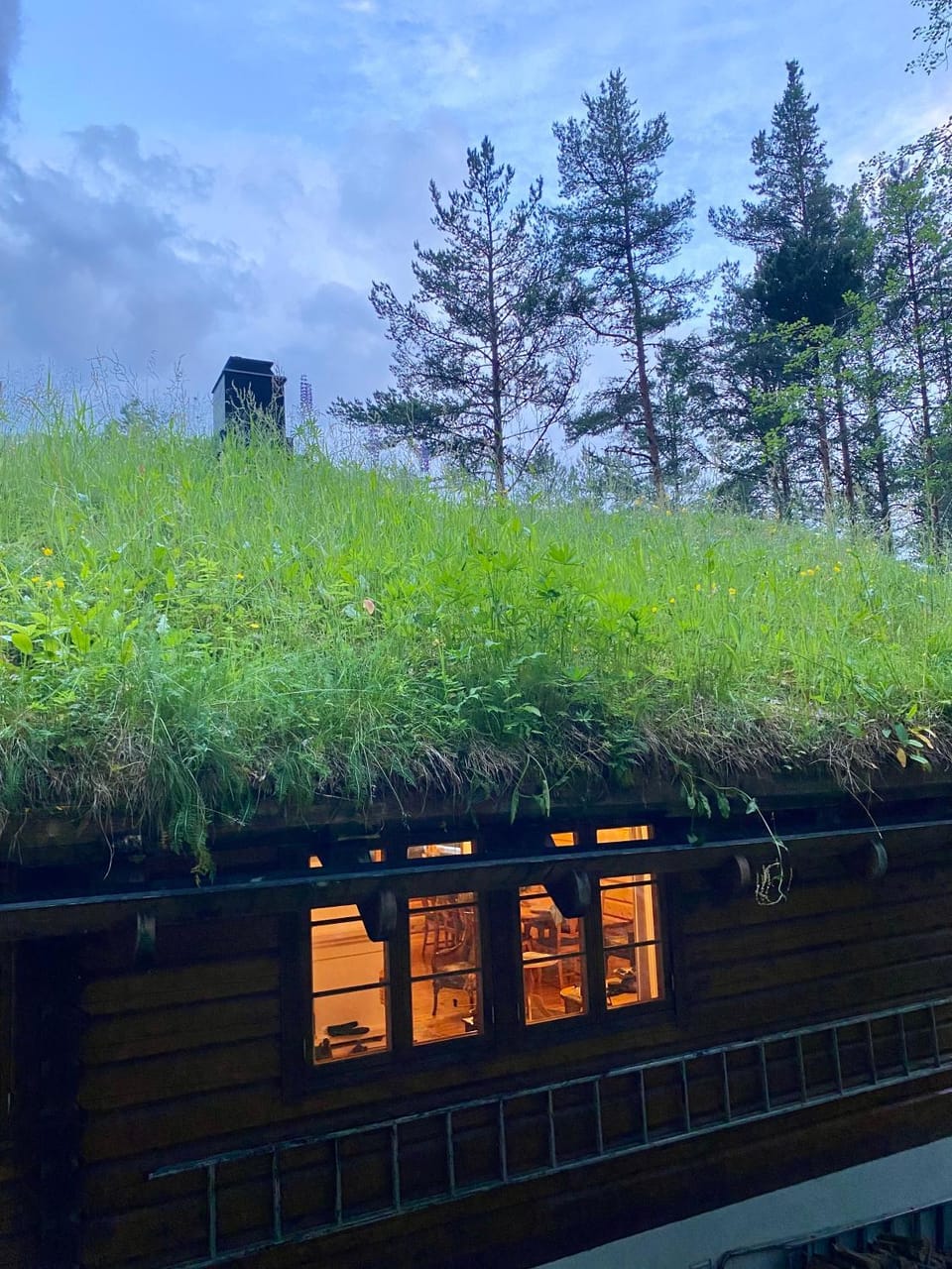 Holmøy Lodge Villa in Vestland