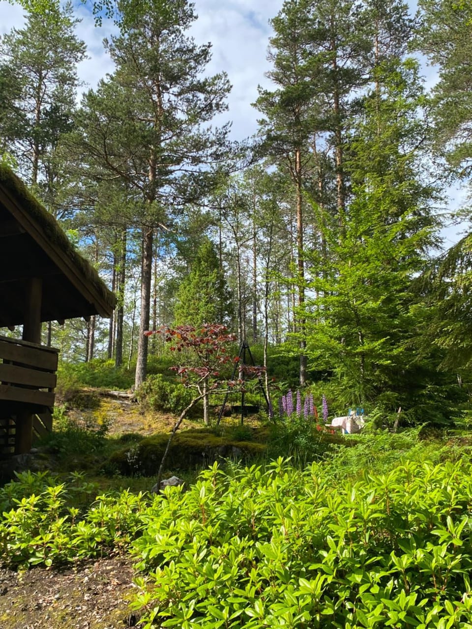 Holmøy Lodge Villa in Vestland