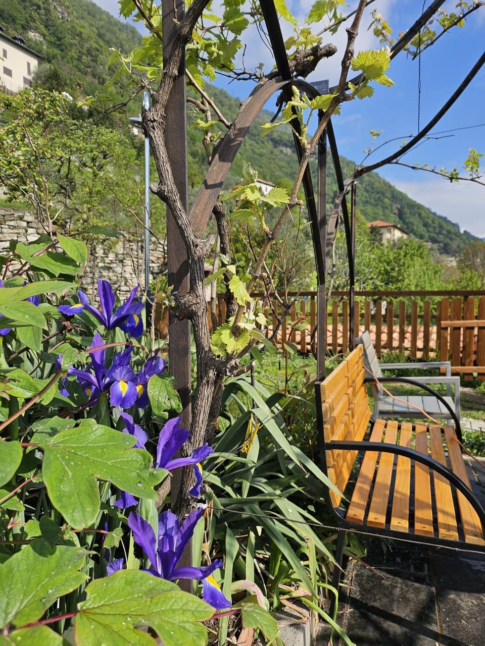 Dimora Paradise House in Laglio