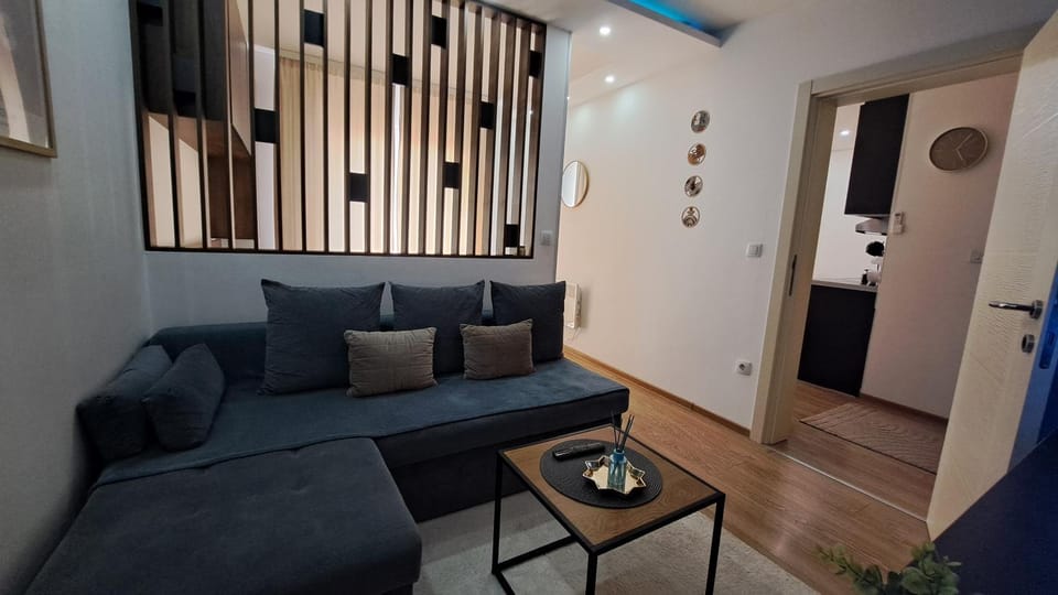 Apartman Brankovic Apartment in Serbia