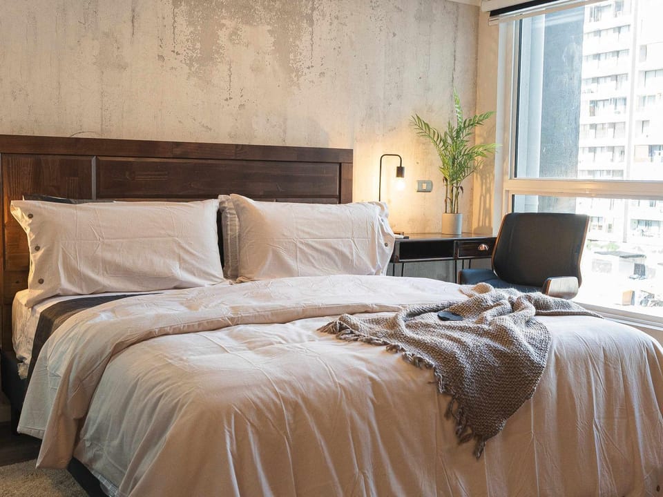 HOM I En Nunoa I Barrio Italia I coworking Apartment in Santiago