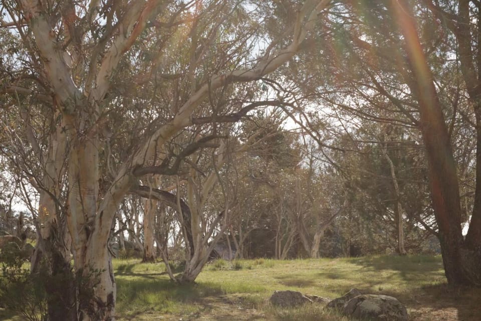 Bush Rock Touchdown Cottages Country House in Jindabyne