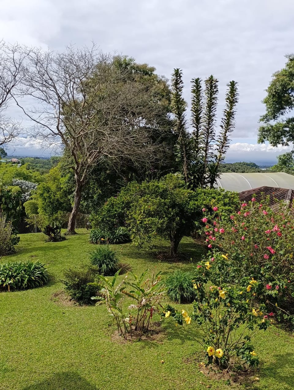 Day, Natural landscape, Garden, Garden view