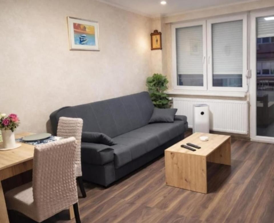 Apartman Centar 1 Apartment in Vojvodina