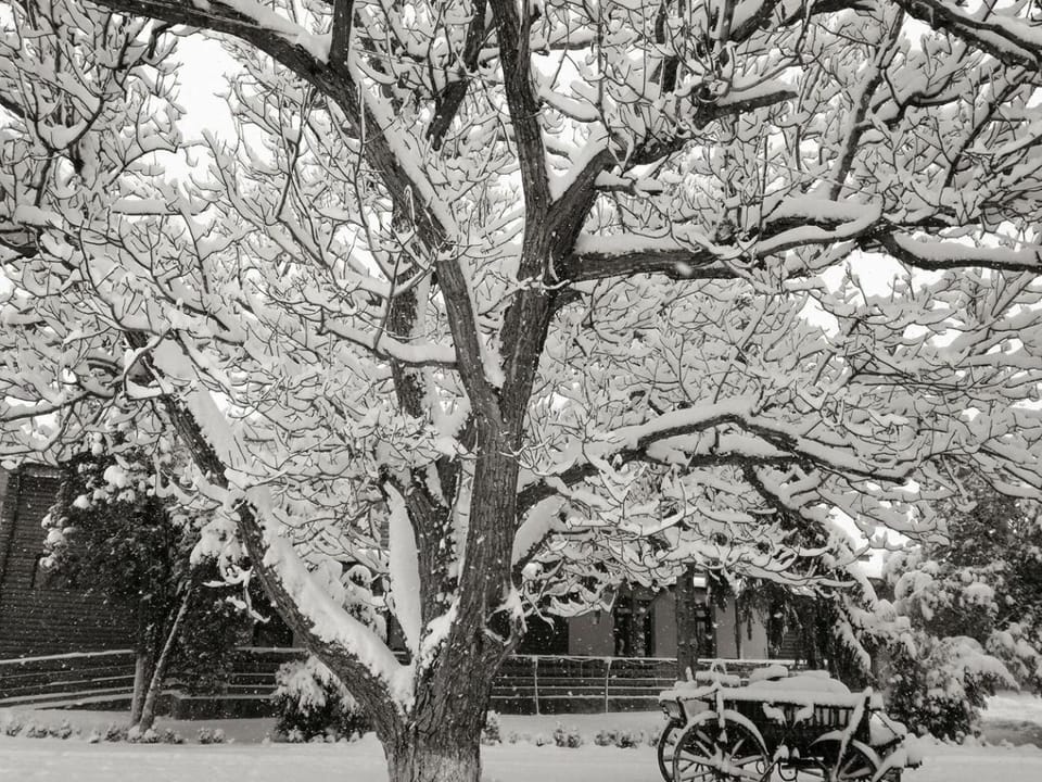 Off site, Winter, On site, Location