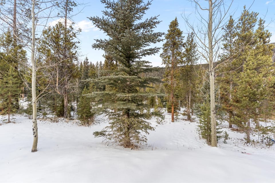 Settlers Creek #6522 Villa in Keystone