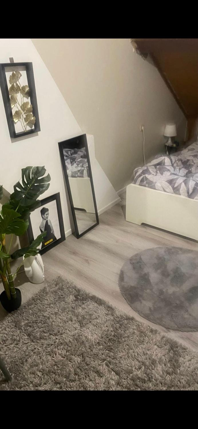 Lodelinsart Vacation rental in Charleroi