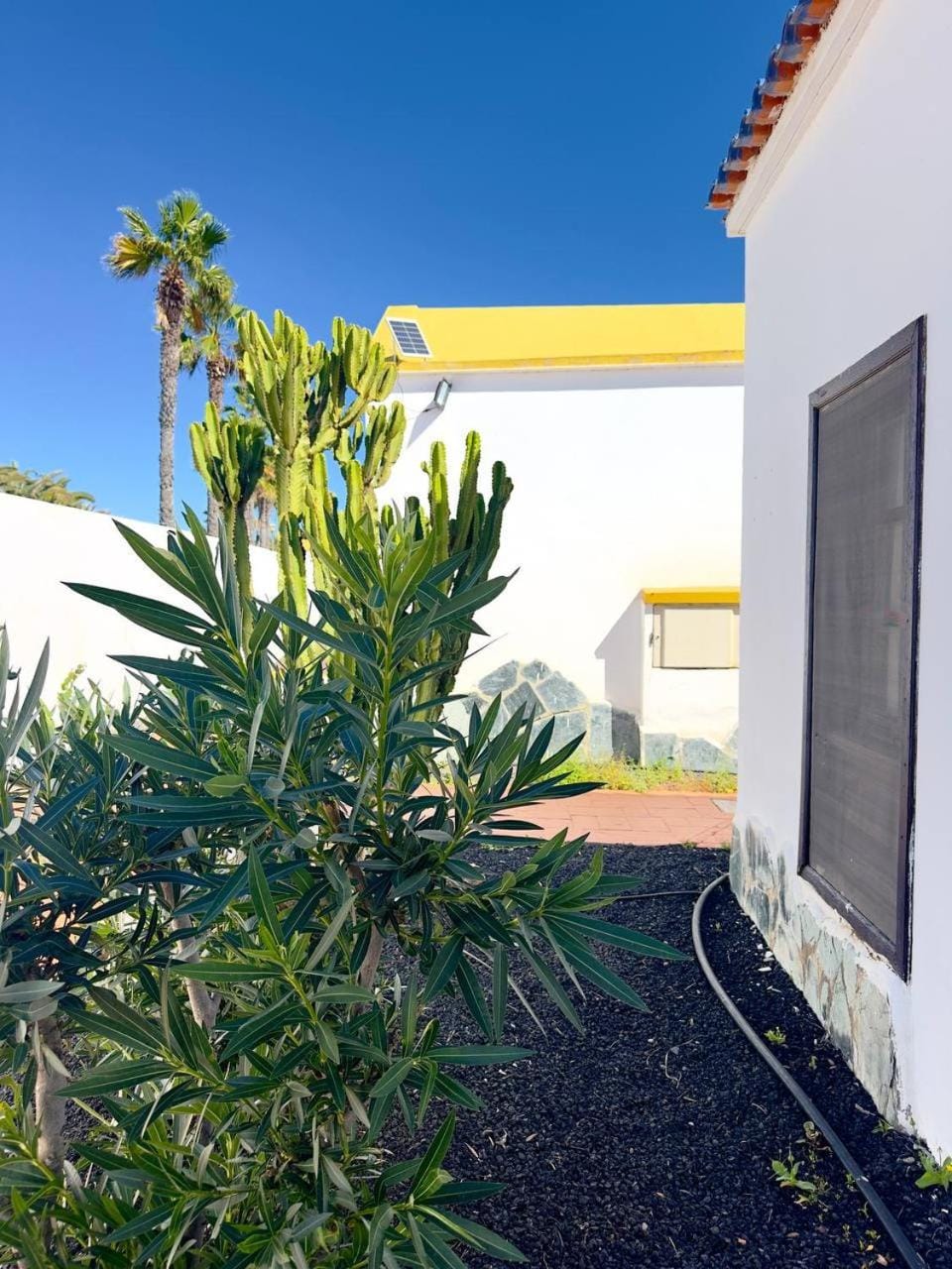 Property building, Garden, Garden view