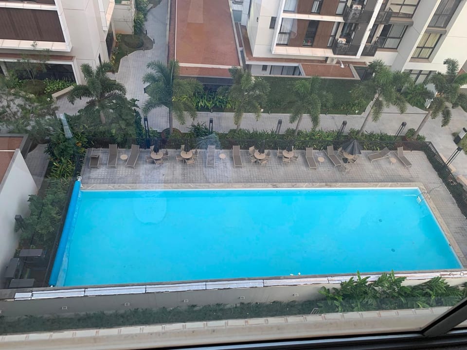 Day, Pool view, Swimming pool, sunbed