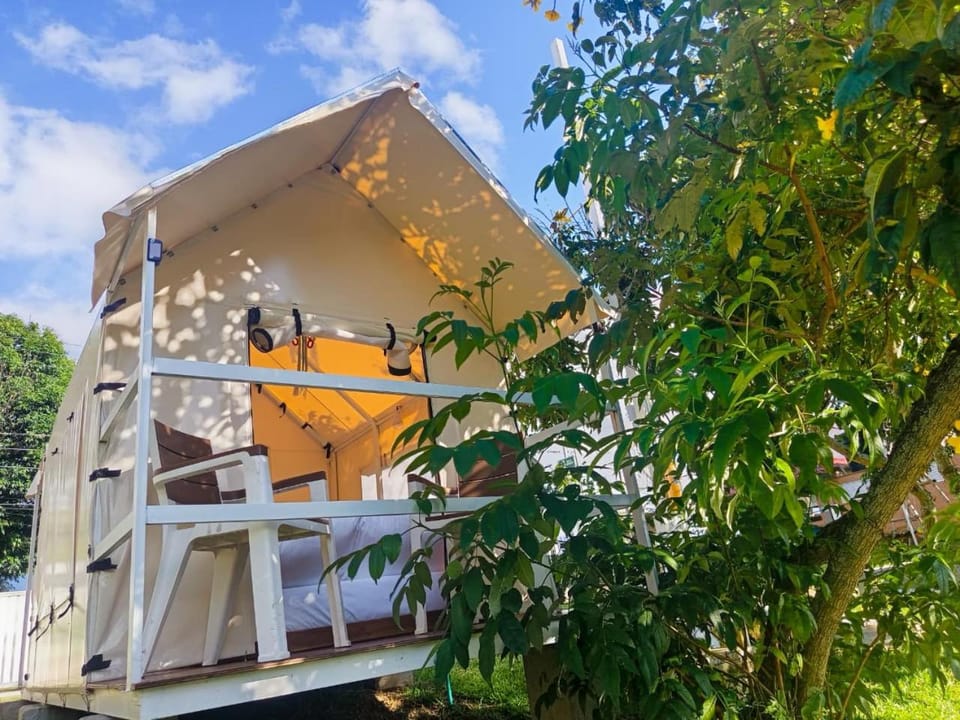 Balcony/Terrace, Garden view