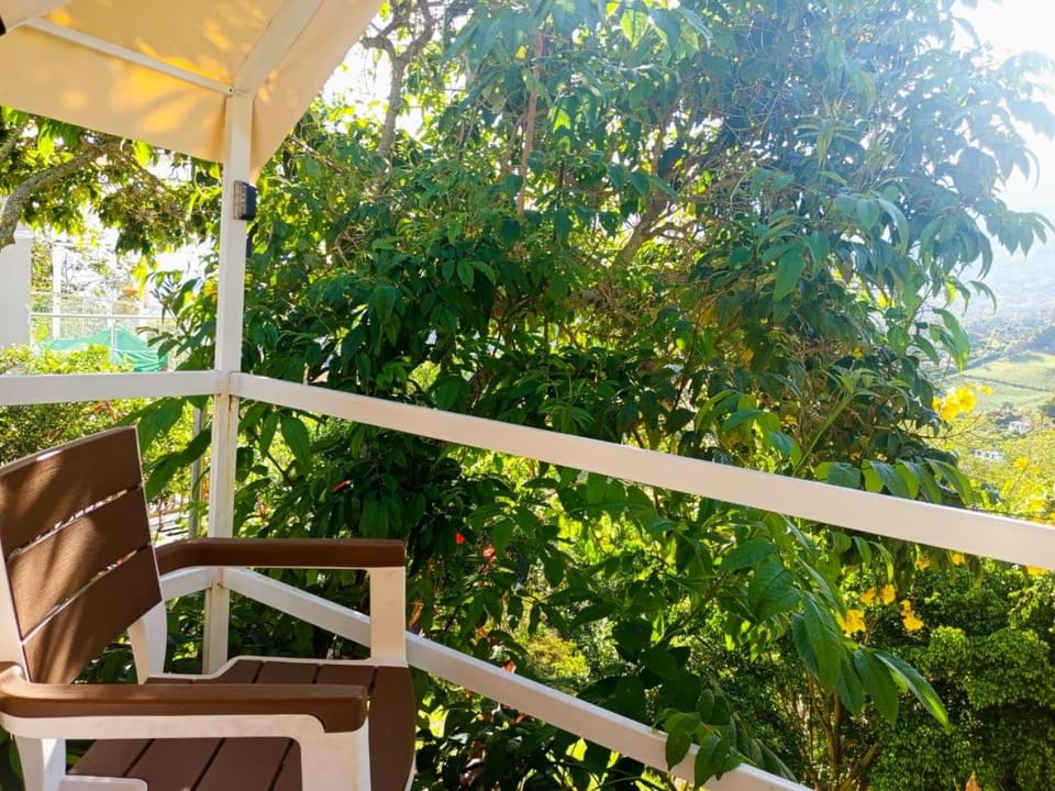 Balcony/Terrace, Garden view