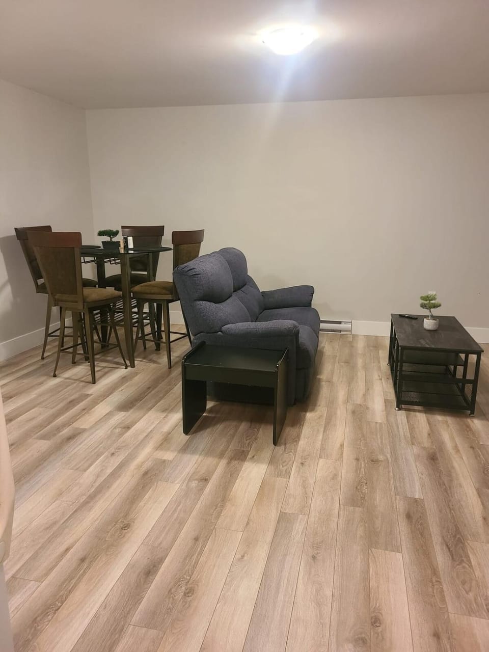Private One Bedroom Basement Apartment with Separate Entrance Apartment in Dieppe
